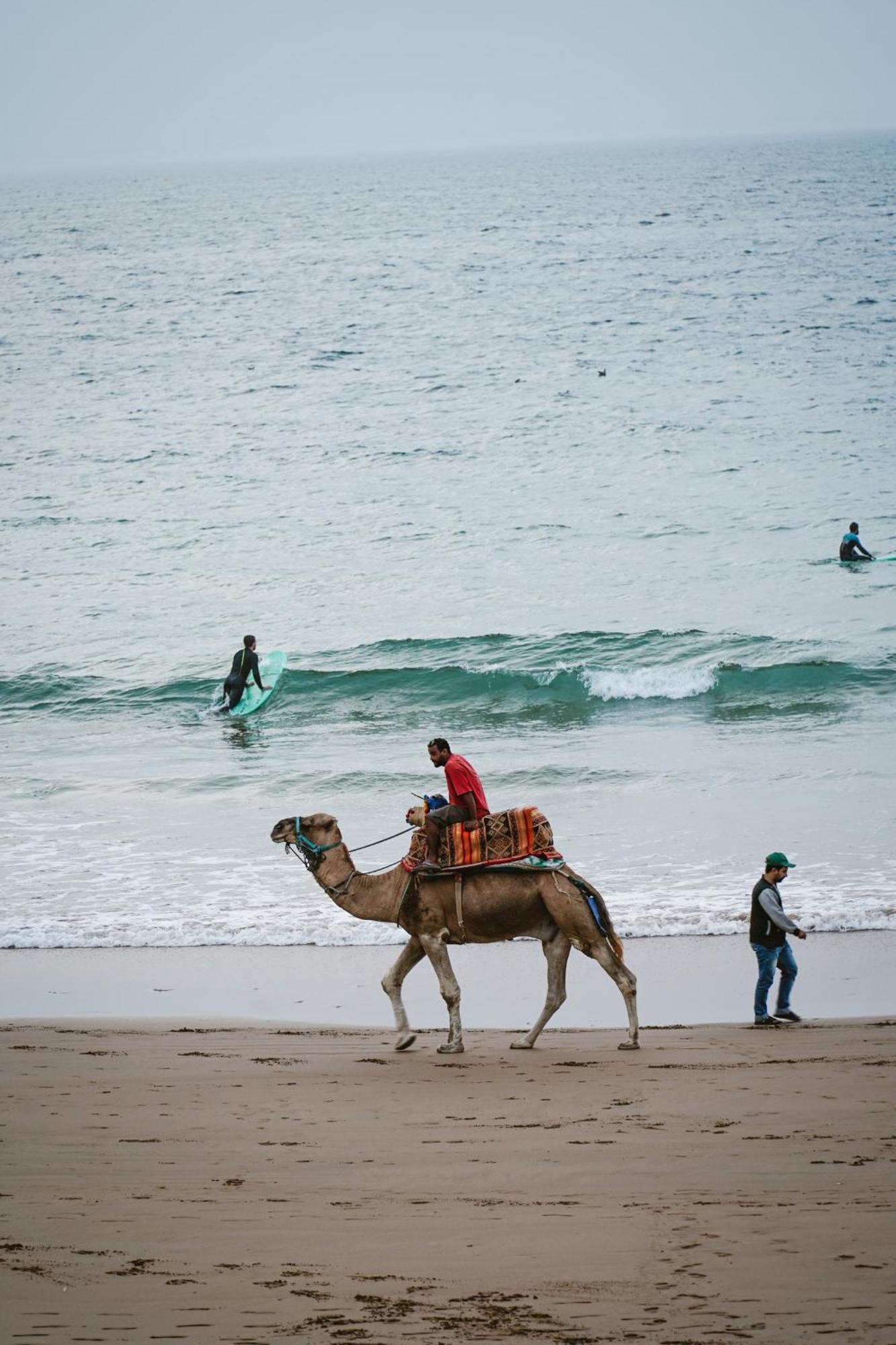 Dar Sultana Guesthouse Surf Morocco Tamraght المظهر الخارجي الصورة